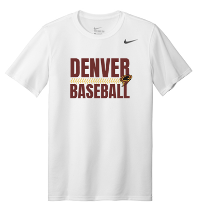 Nike Team rLegend Tee