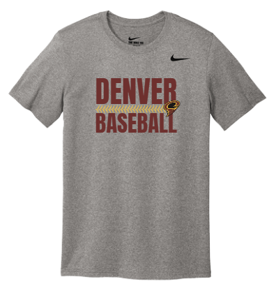 Nike Team rLegend Tee
