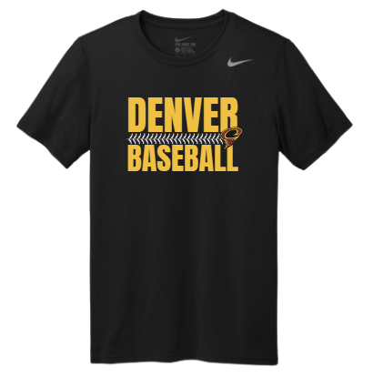 Nike Team rLegend Tee