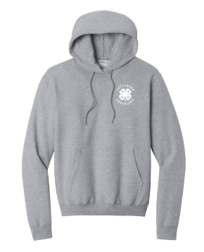 Port & Co™ Core Fleece Pullover Hooded Sweatshirt
