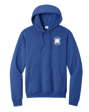 Port & Co™ Core Fleece Pullover Hooded Sweatshirt